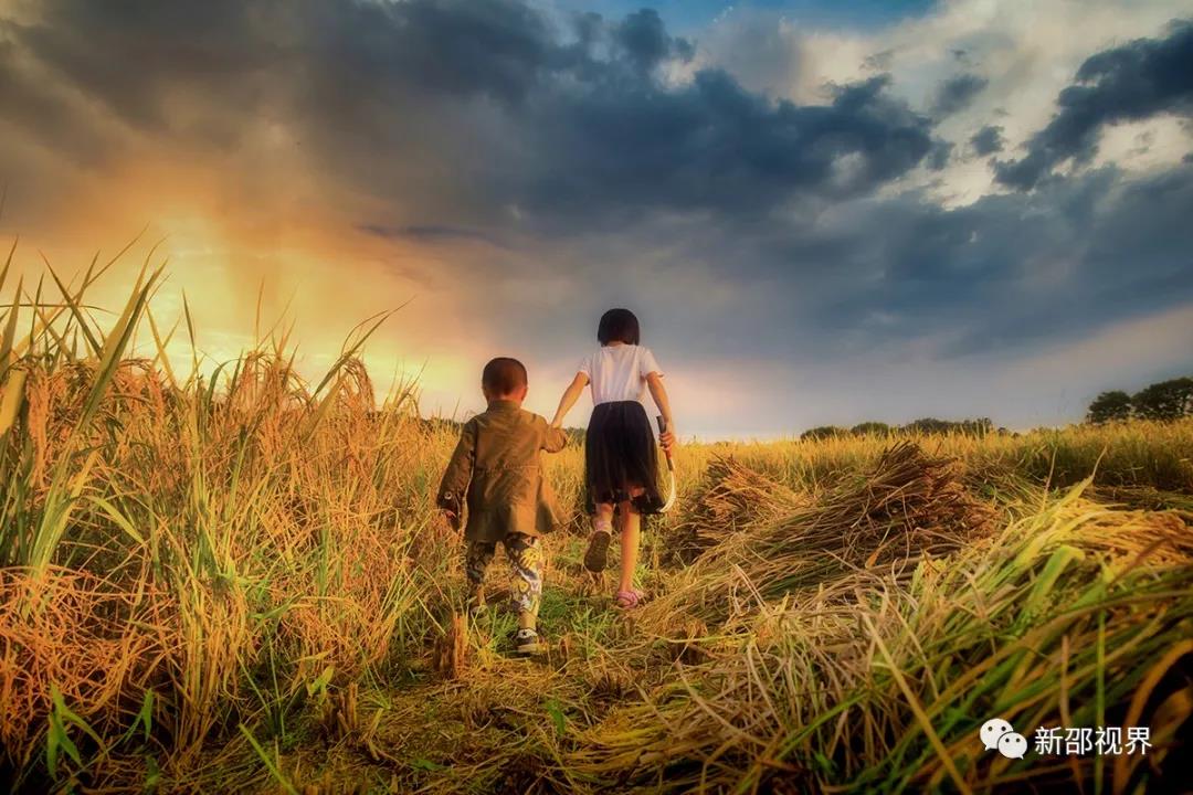 微信图片_20201207235204 微信图片_20201207235204.jpg