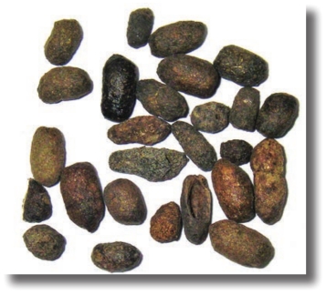 pagenumber_ebook=181,pagenumber_book=168