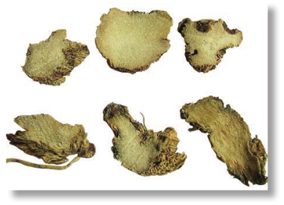 pagenumber_ebook=170,pagenumber_book=157