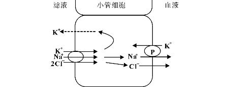 pagenumber_ebook=163,pagenumber_book=163