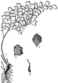 pagenumber_ebook=283,pagenumber_book=283