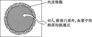 width=281,height=114,dpi=110