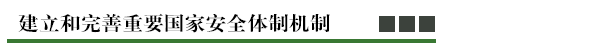 建立和完善重要国家安全体制机制.png