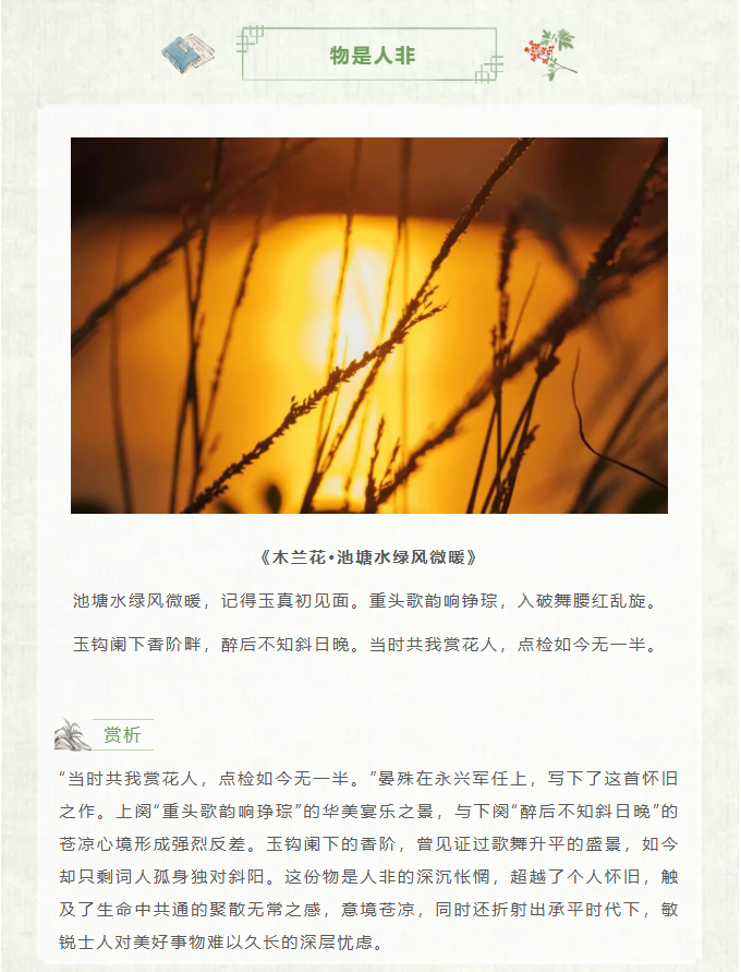 image.png?v=1770178027987