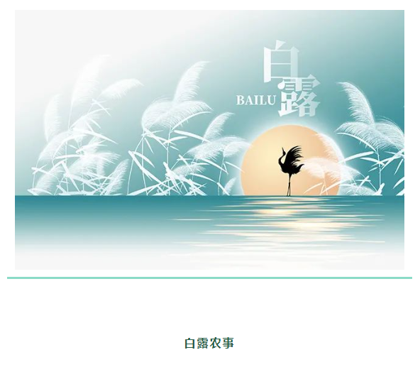 image.png?v=1750240919778