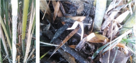 pagenumber_ebook=114,pagenumber_book=106