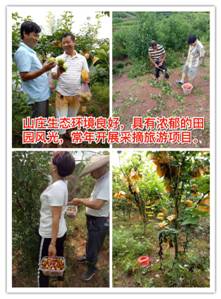 微信图片_20171008124231