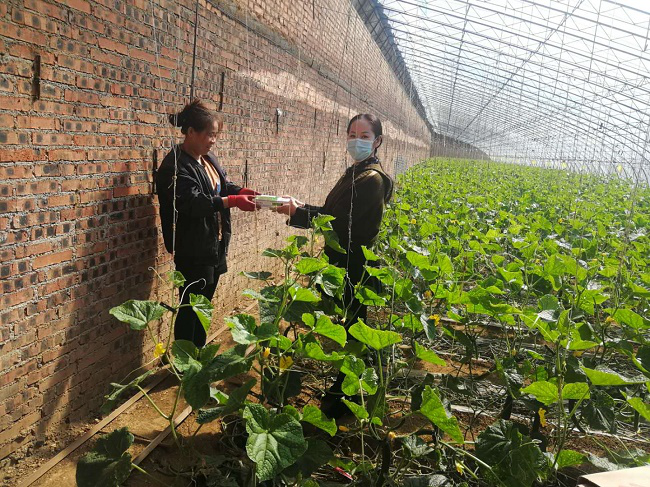 图片2 图片2.png?v=1765857365347