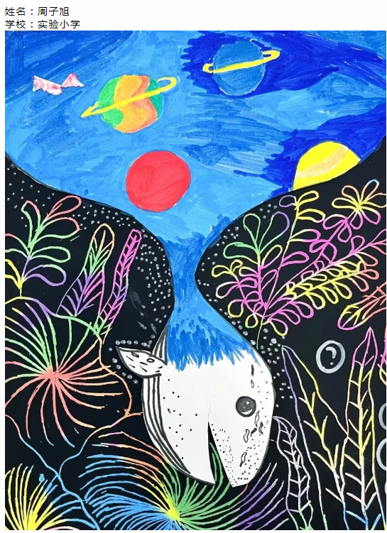 image.png?v=1765701238004