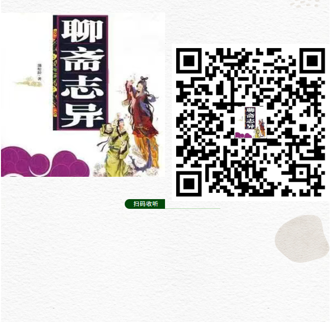 image.png?v=1757830739147