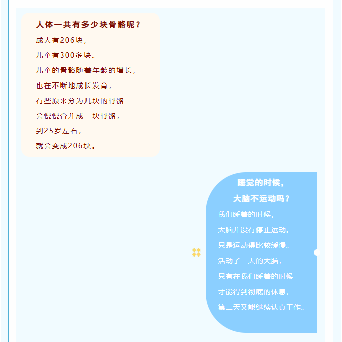 image.png?v=1787518945203
