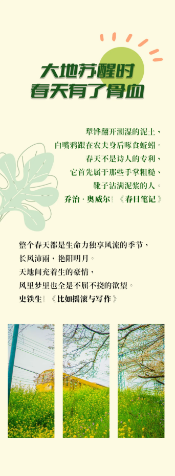 image.png?v=1757808381858