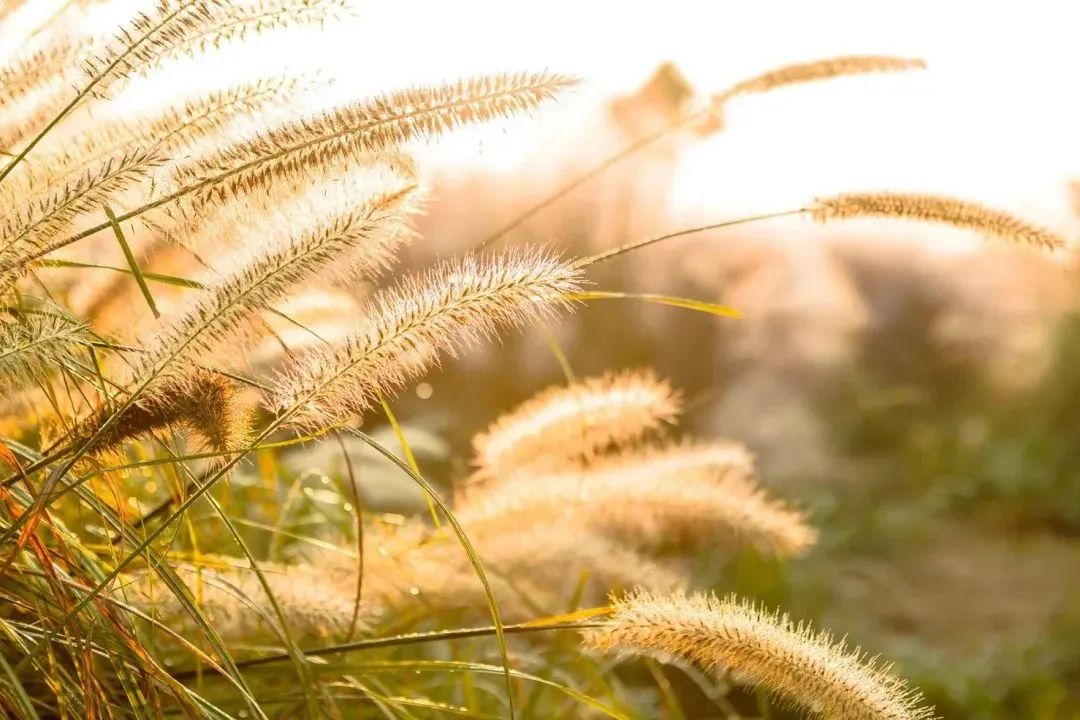 ef955b347ceeda8bb010fc781df42550 ef955b347ceeda8bb010fc781df42550.jpg