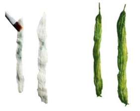 pagenumber_ebook=81,pagenumber_book=81