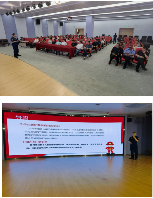 image image.png?v=1763569620105