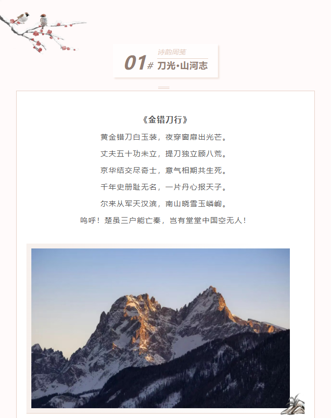 image.png?v=1770178027590