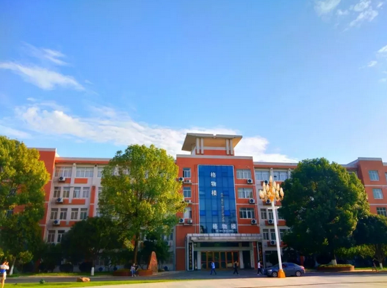 图片 图片.png?v=1761706241189