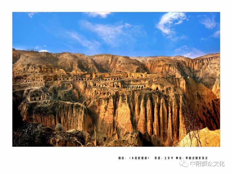 640.webp (1).jpg?v=1764880118725