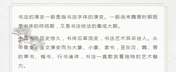 image.png?v=1750237114033