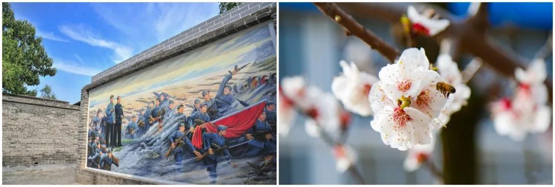 微信图片_20210406102426 微信图片_20210406102426.jpg