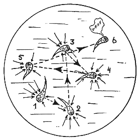 pagenumber_ebook=191,pagenumber_book=187