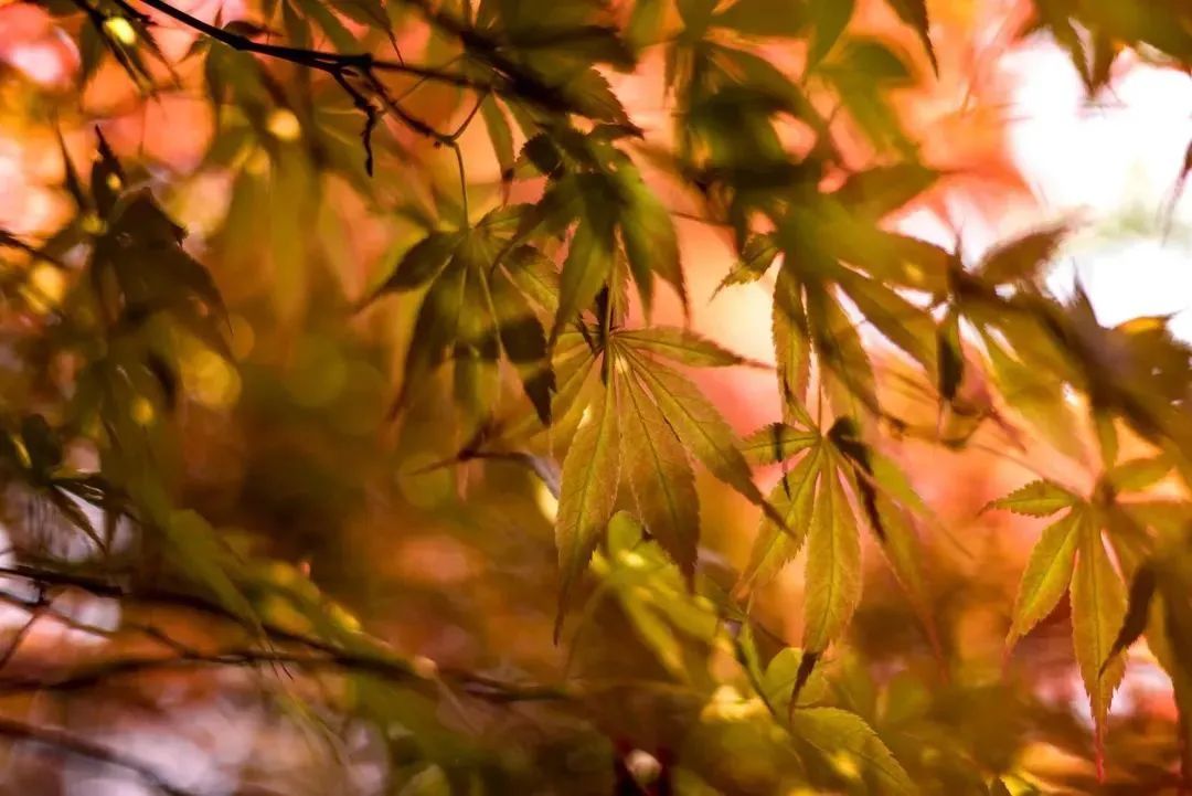 b360b4c52eaadcdfe3e69c34599f2314 b360b4c52eaadcdfe3e69c34599f2314.jpg