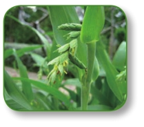 pagenumber_ebook=112,pagenumber_book=99