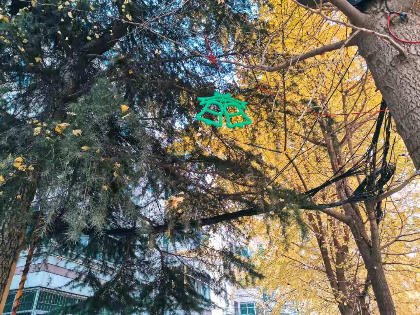 微信图片_20201214183341