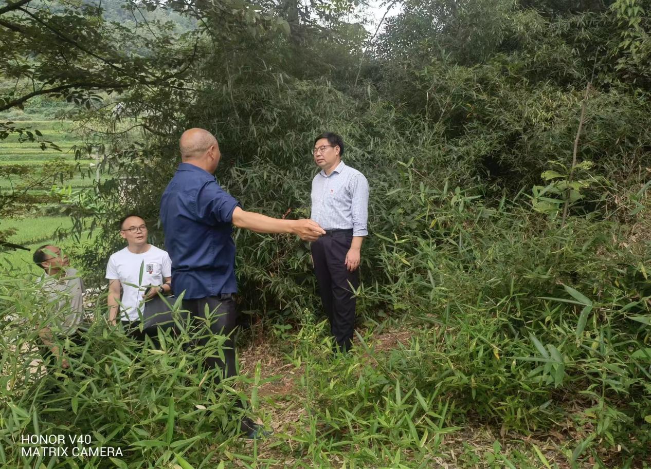 image13 image13.jpeg