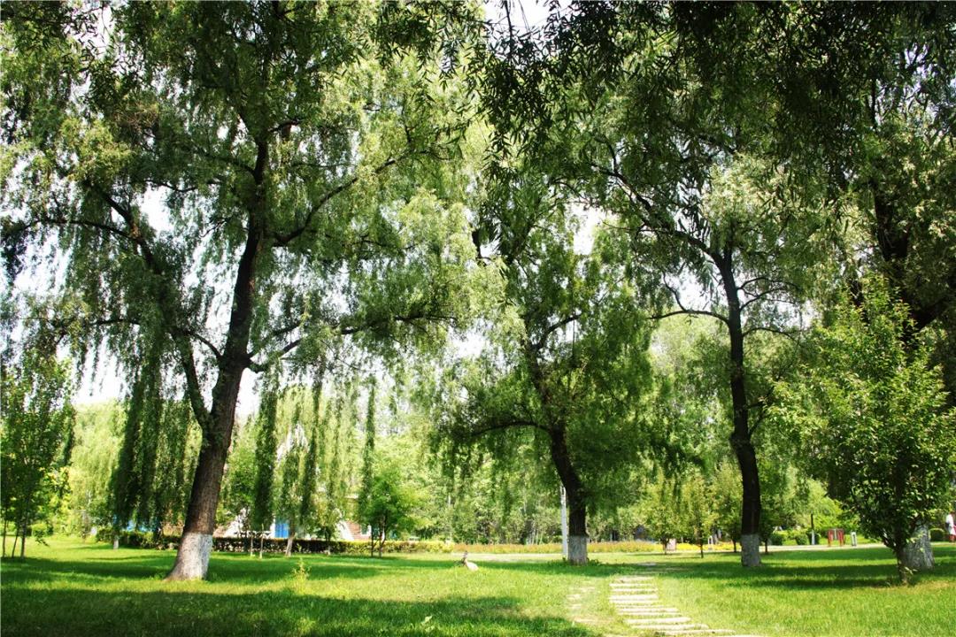 微信图片_20200727091032