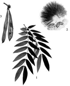 pagenumber_ebook=148,pagenumber_book=148