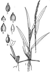 pagenumber_ebook=250,pagenumber_book=250