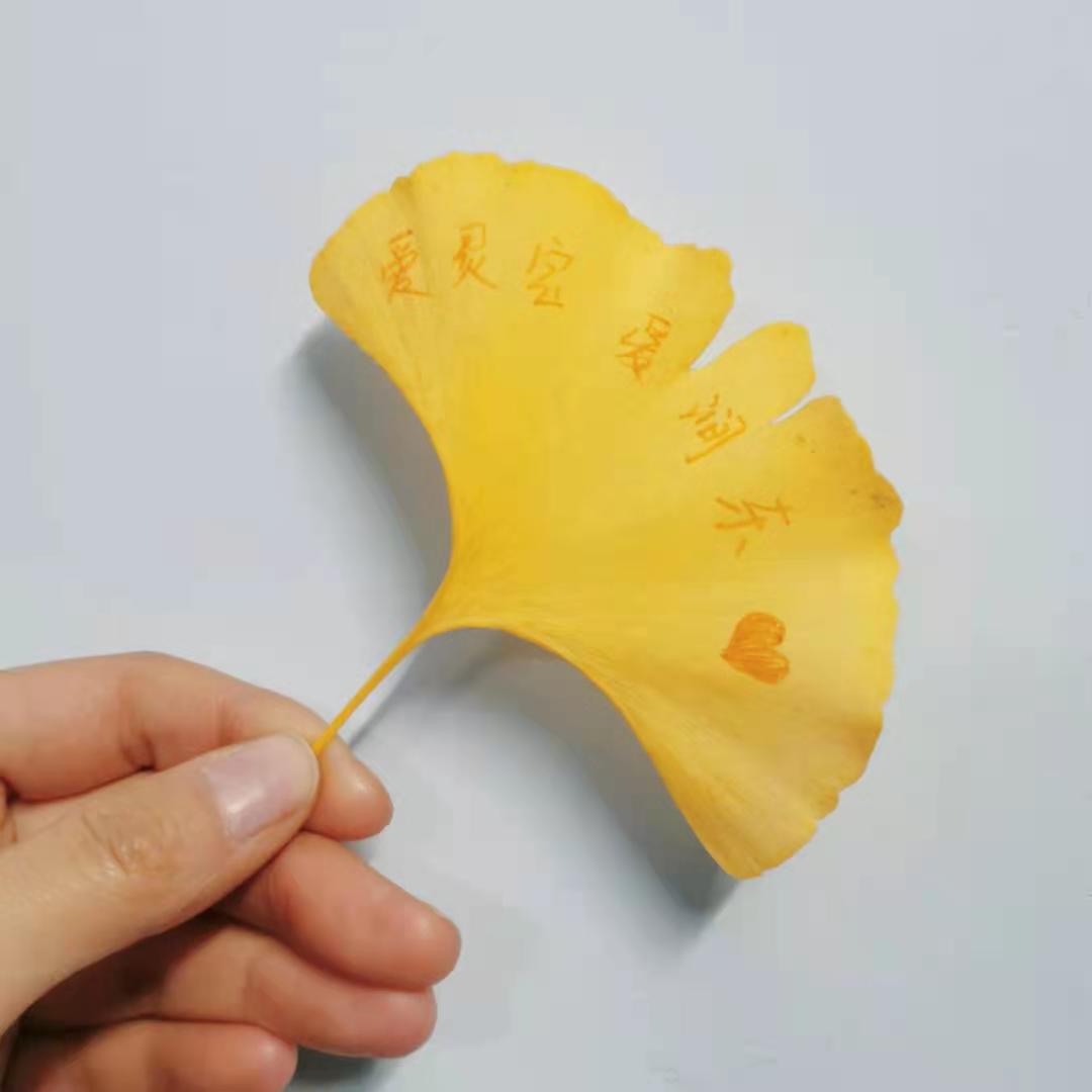 微信图片_202012142026113