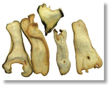 pagenumber_ebook=145,pagenumber_book=132