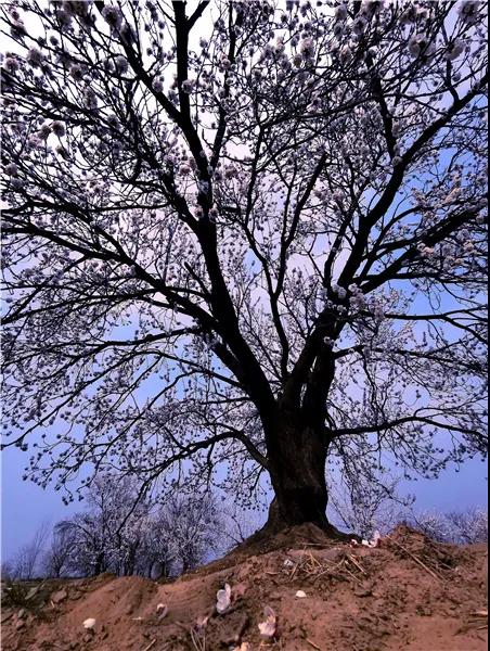 微信图片_20210318082720