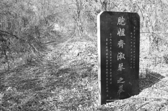 pagenumber_ebook=113,pagenumber_book=101