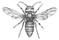 pagenumber_ebook=23,pagenumber_book=7