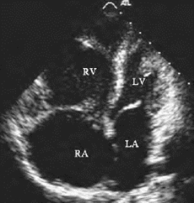 pagenumber_ebook=456,pagenumber_book=456