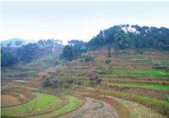 pagenumber_ebook=47,pagenumber_book=47