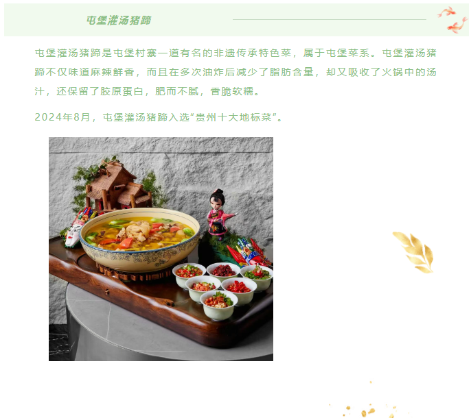 image.png?v=1751558967926