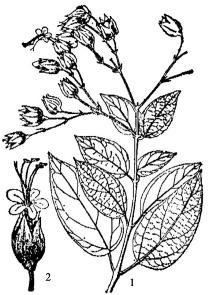 pagenumber_ebook=150,pagenumber_book=150