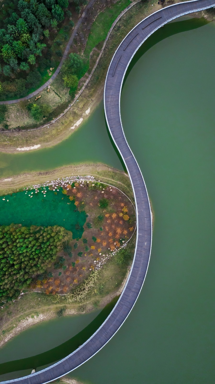 《小路弯弯》,赵腾飞,15729279000