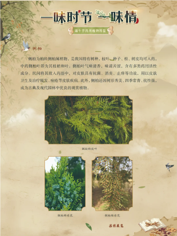 image.png?v=1782174181266