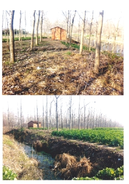 pagenumber_ebook=71,pagenumber_book=56