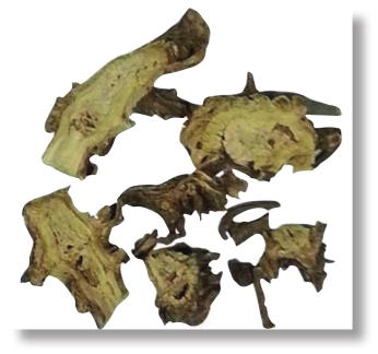 pagenumber_ebook=24,pagenumber_book=11