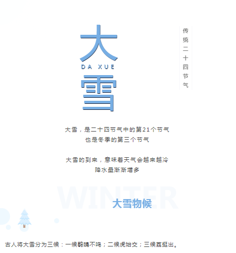 image.png?v=1750226779753