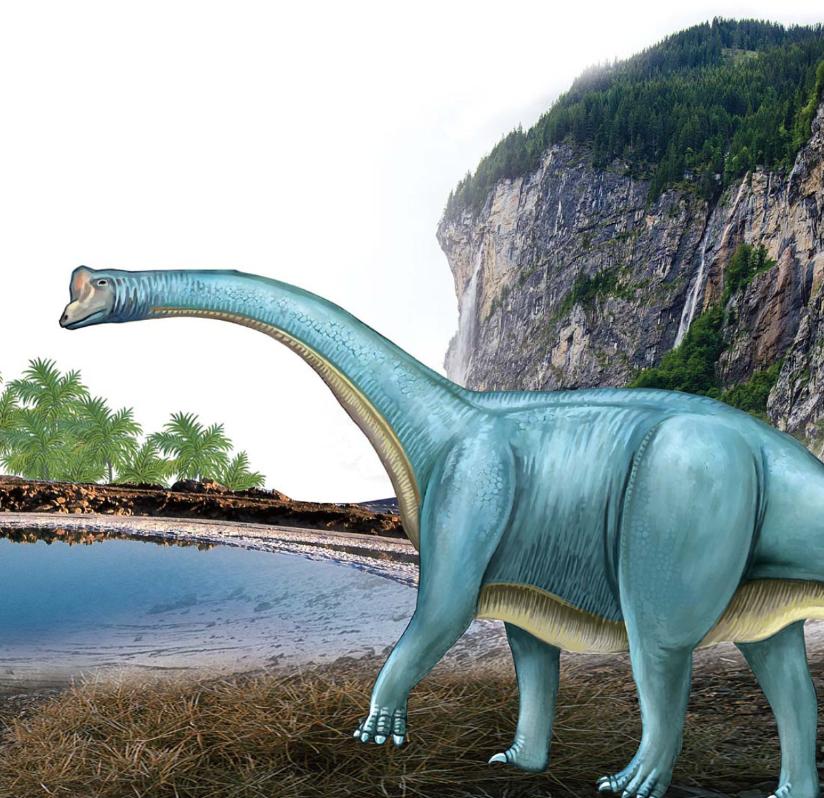 pagenumber_ebook=116,pagenumber_book=105