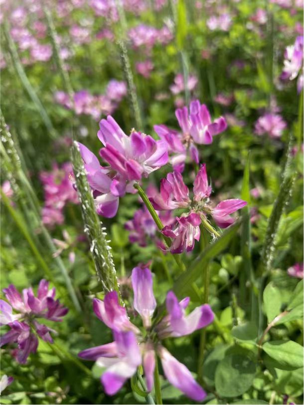 3cf82886c1b9bb5954ffdd50a5f7376