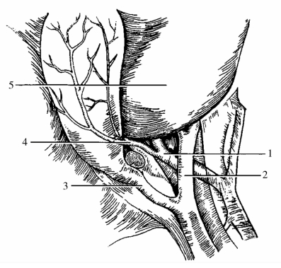 pagenumber_ebook=19,pagenumber_book=11