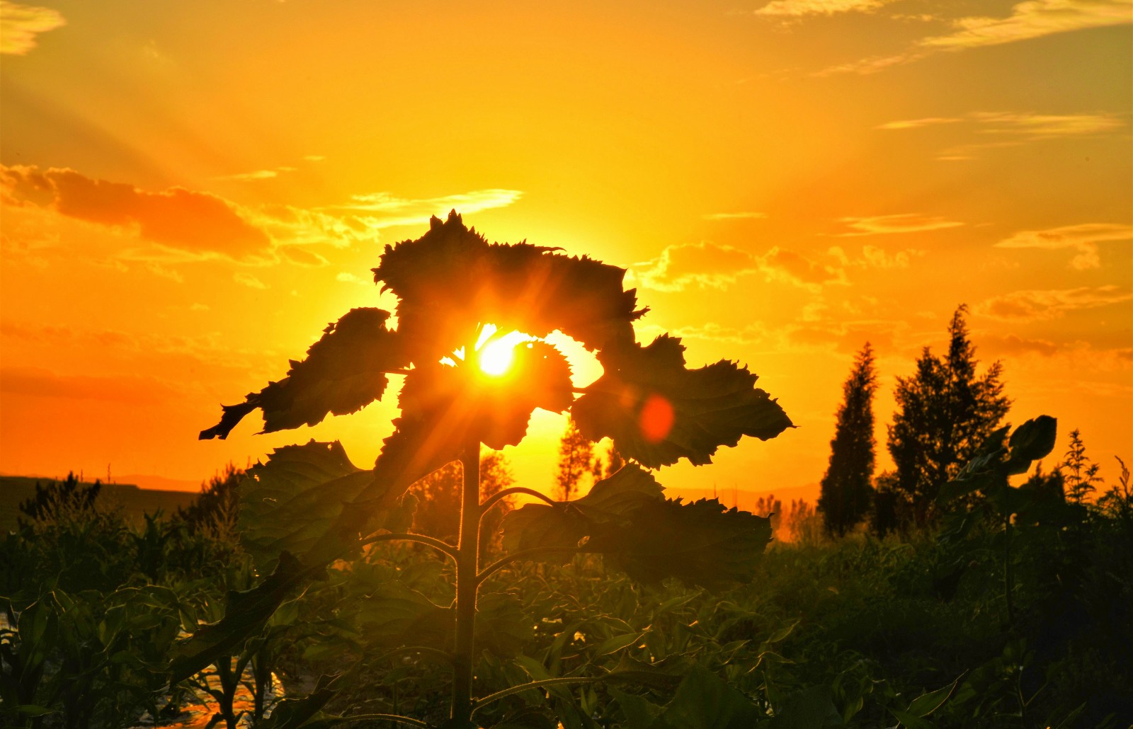 微信图片_20211130100905